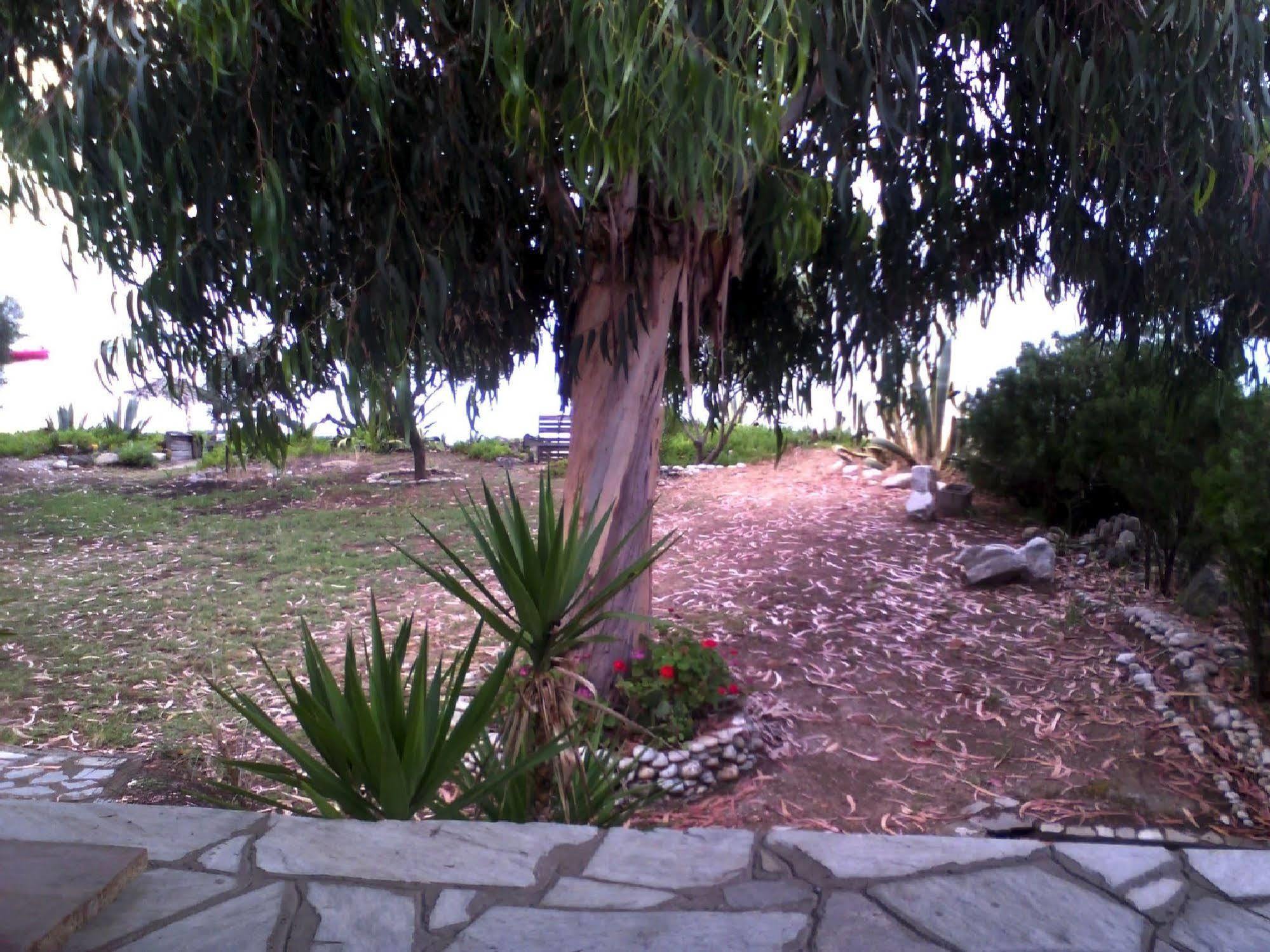 Agrelia House Villa Ouranoupoli Buitenkant foto